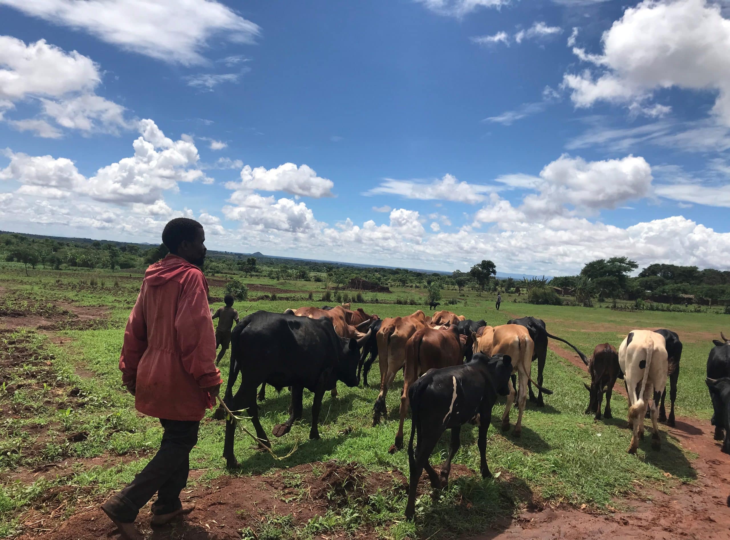 January in Malawi